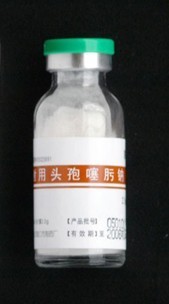 頭孢噻呋鈉銷售!頭孢噻呋鈉是全球第一個畜禽專用的第三代頭孢菌素,屬廣譜抗生素,對革蘭氏陽性菌和革蘭氏陰性菌均有強大的抗菌活性?！精F藥名稱】通用名:頭孢噻呋鈉 英文名:Ceftiofur Sodium漢語拼音:Toubaosaifuna【化學(xué)名稱】[6R-[6α,7β(Z)]]-7-[[(2-氨基-4-噻唑基)(甲氧 .中國蘭壽網(wǎng)(中國蘭壽金魚網(wǎng)) [ChinaGoldFish]